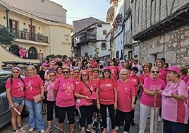 Parte de las participantes en la marcha rosa losareña.
