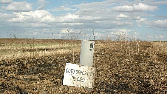 ¿Qué ha pasado este domingo, 19 de octubre, en Extremadura?