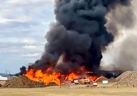 Arde uno de los montones de corcho almacenados en los patios.