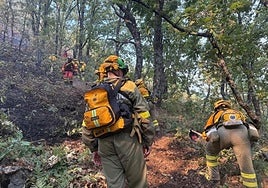 Más de veinte incendios forestales arrasan 160 hectáreas de Extremadura en una semana