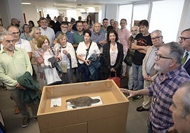 El ornitorrinco del Bárbara de Braganza, en la exposición organizada por el Museo de Ciencias.