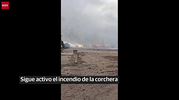 Sigue activo el incendio en una industria de corcho de San Vicente de Alcántara