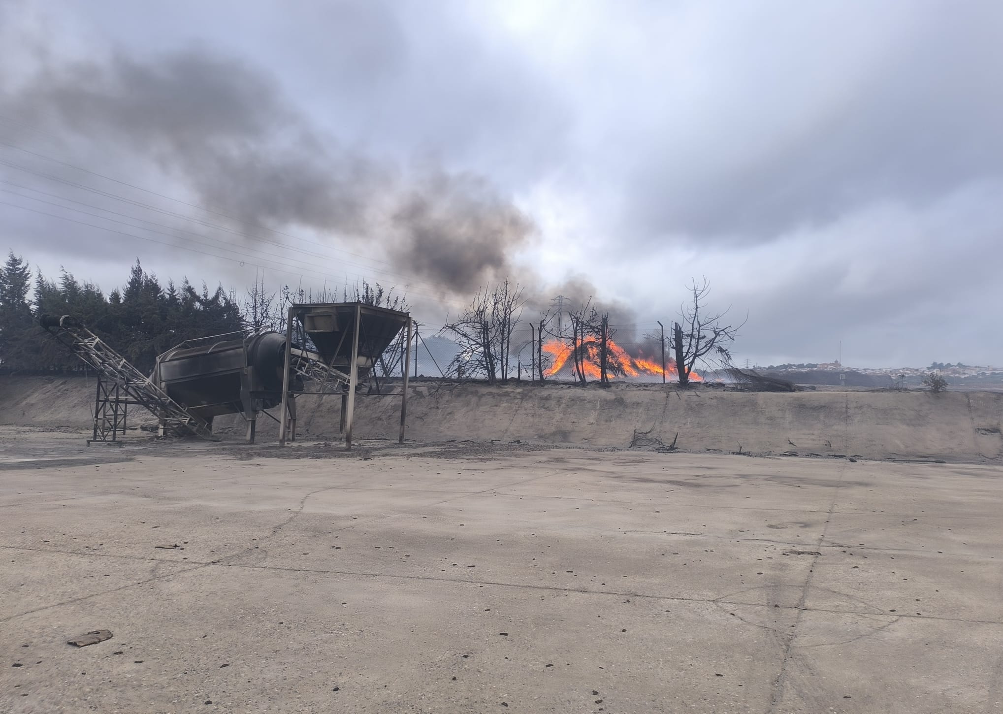 Así arde la corchera de San Vicente, dos días después de iniciarse el fuego