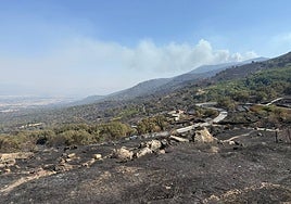Aprobadas las ayudas del Ministerio para los afectados de 45 municipios extremeños por los incendios