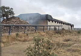 Así arde la corchera de San Vicente, dos días después de iniciarse el fuego