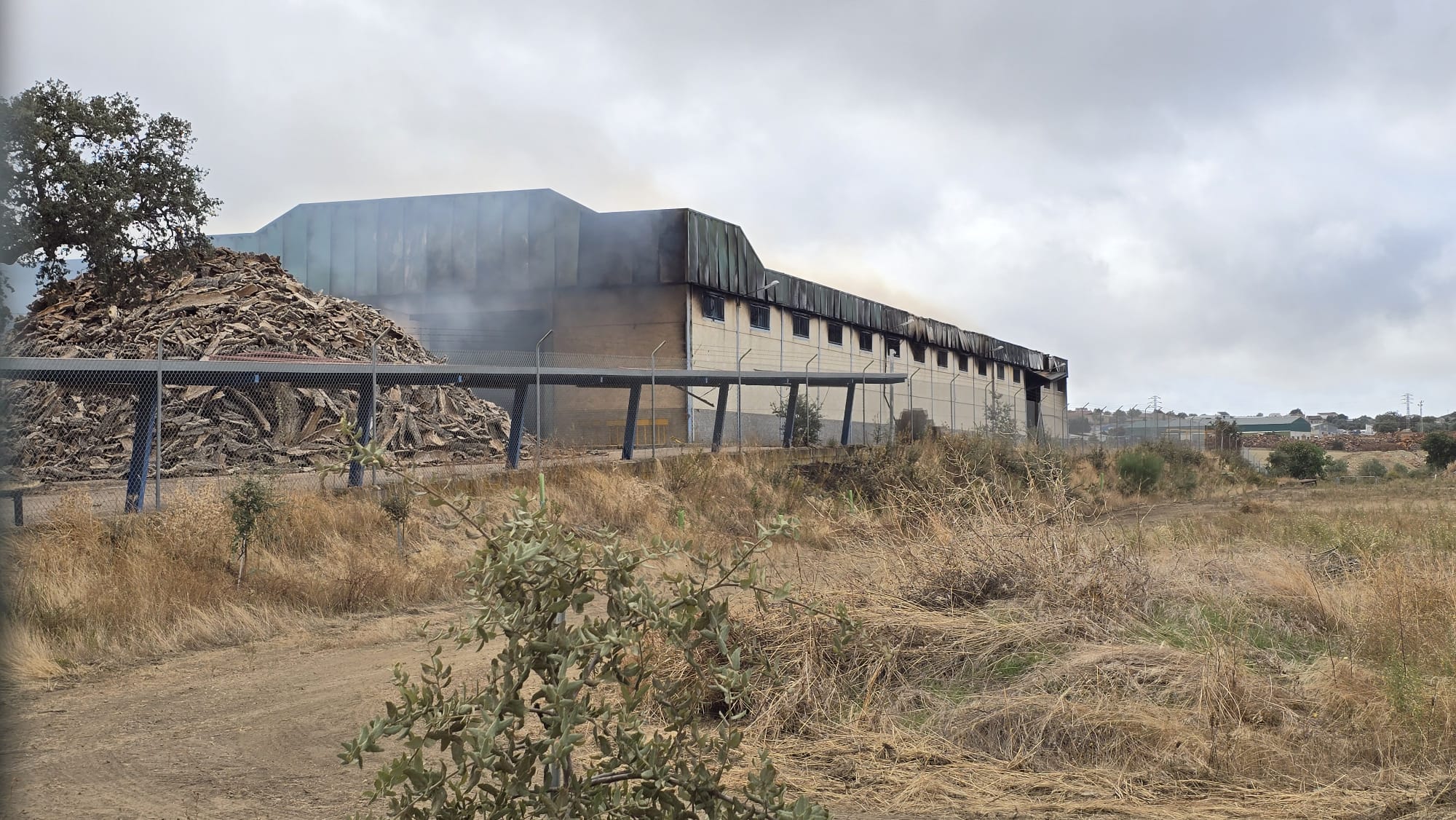Así arde la corchera de San Vicente, dos días después de iniciarse el fuego