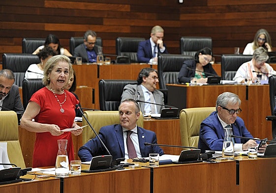 La consejera Mercedes Vaquera, en una imagen de archivo.