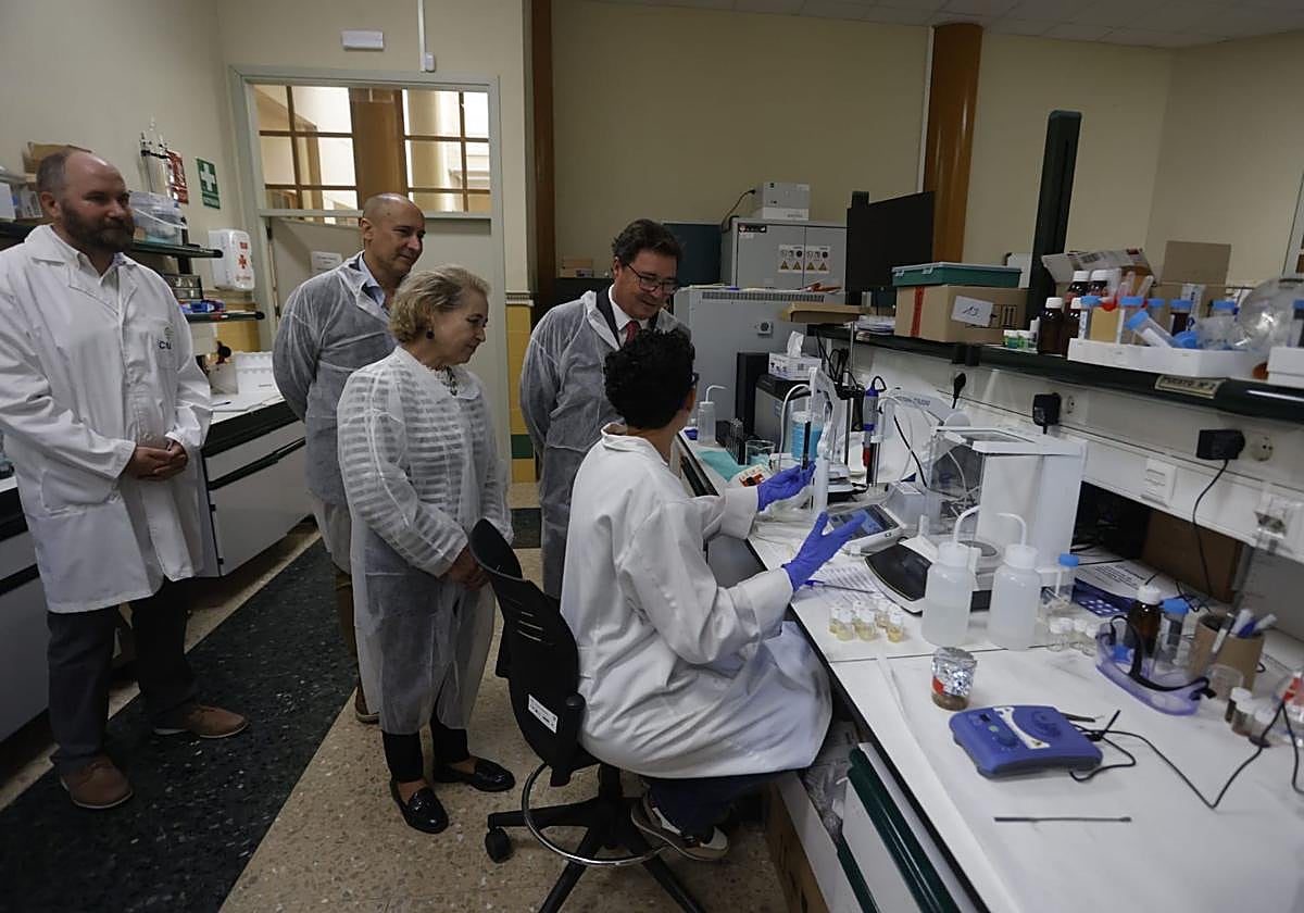 Visita de la consejera de Educación, Mercedes Vaquera y el titular de economía, Guillermo Santamaría, al entro Ibérico de Investigación y Almacenamiento Energético.