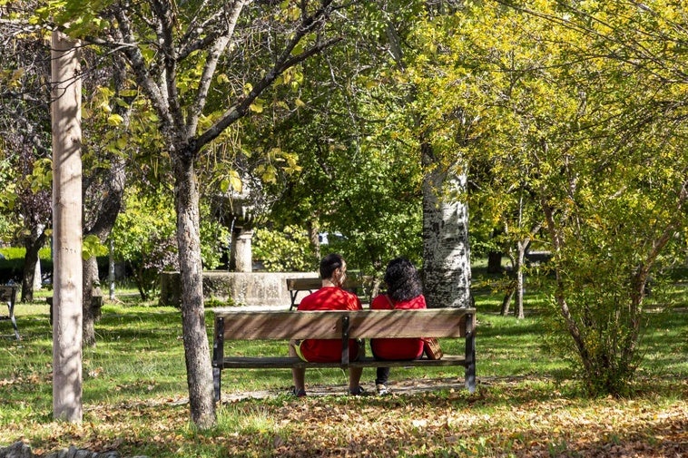 Este es el programa completo del Otoño Mágico del Valle del Ambroz 2025