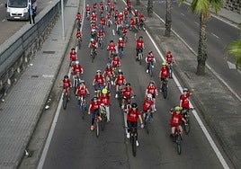 Escolares con sus bicis por la avenida Felipe Vi (antigua carretera de Cáceres), esta mañana