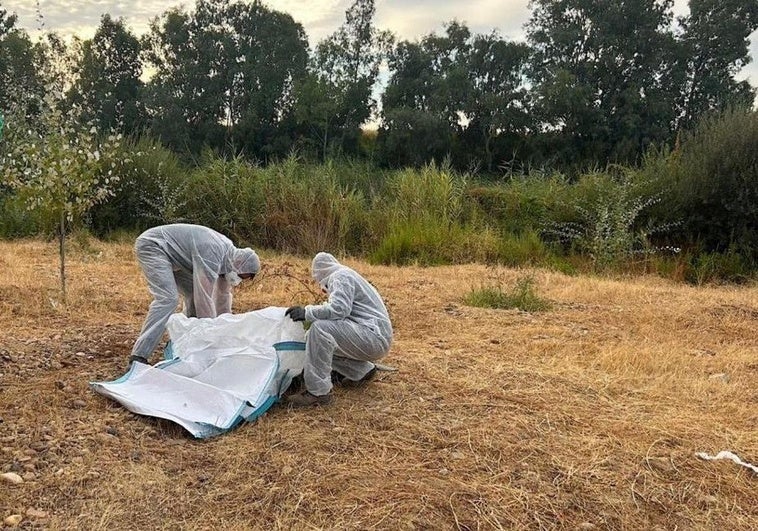 Fibrocemento, químicos o animales muertos: los vertidos persisten en las orillas del Guadiana