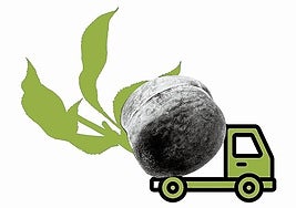 ¡Viva Calanda, viva la libertad!