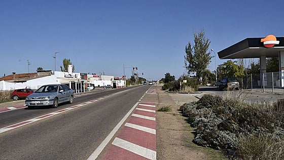 Los conductores alertan de la presencia de caballos sueltos en la carretera de Olivenza
