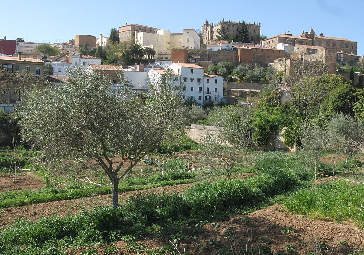 Huertas de la Ribera del Marco con la Ciudad Monumental al fondo.