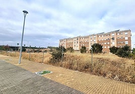 Calle Adelfas, en los terrenos de la antigua Carcesa, donde ya hay viviendas. En un solar se hará vivienda de protección oficial.