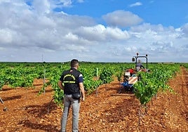 Piden penas de entre diez y tres años de cárcel por explotar a extranjeros en labores agrícolas