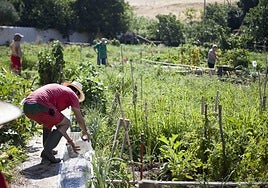 Imagen de archivo de un huerto urbano en Extremadura.