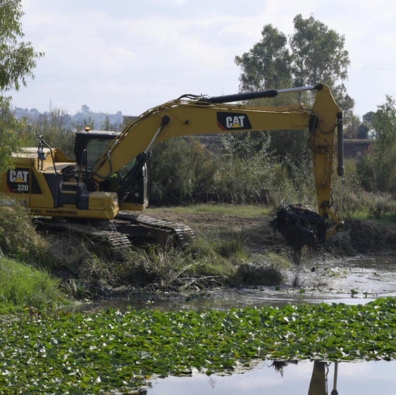 Empieza la lucha contra el tapiz verde del Guadiana