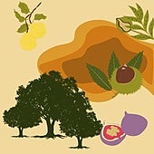 Frutos otoñales para el Día de Todos los Santos