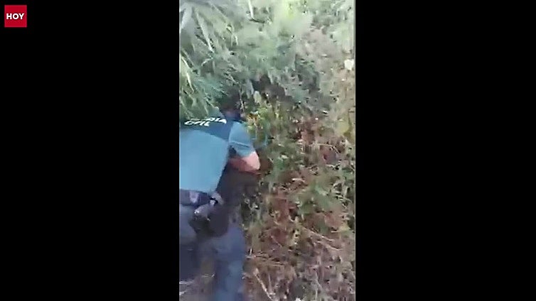 Tres detenidos por cultivar 201 plantas de marihuana en la margen del río Gévora