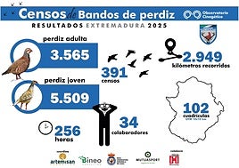 Extremadura lidera los censos de bandos de perdiz en España con casi 400 conteos registrados