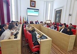 Sesión plenaria del Ayuntamiento de Mérida.