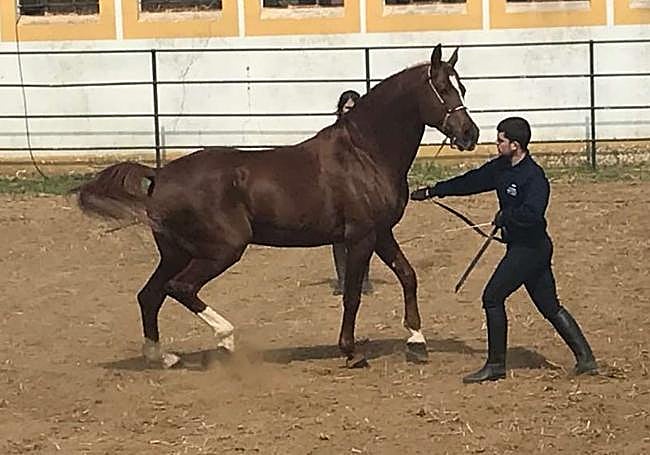 El plazo finaliza el próximo 6 de noviembre.