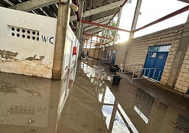 Interior del estadio Francisco de la Hera tras las lluvias.