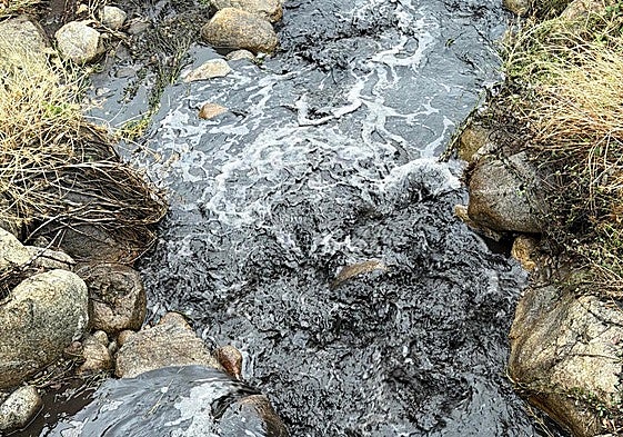 Fotos | Ríos con el agua negra por las cenizas de los incendios