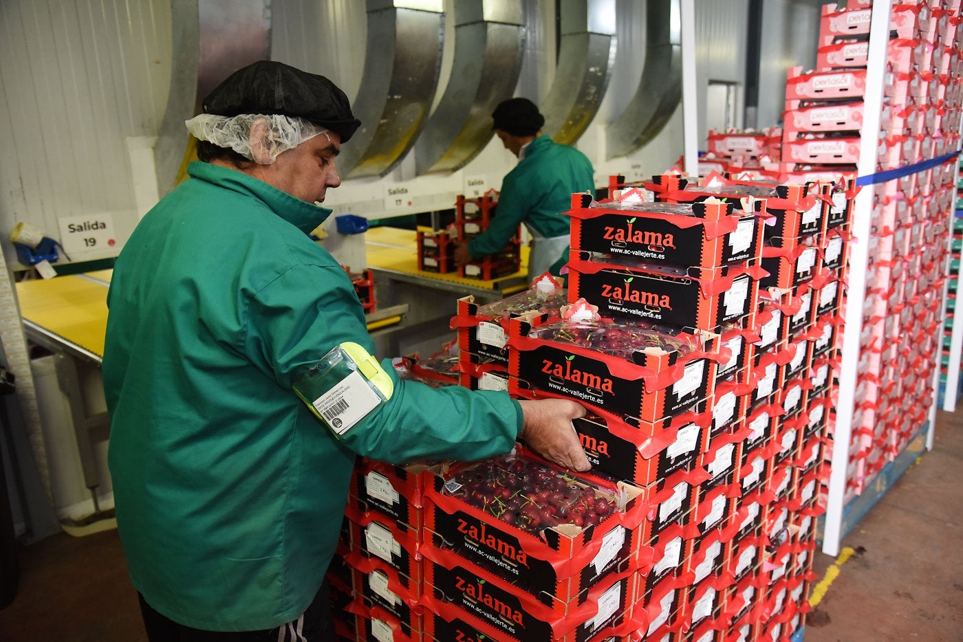 Trabajadores en una cooperativa de cerezas del Valle del Jerte.