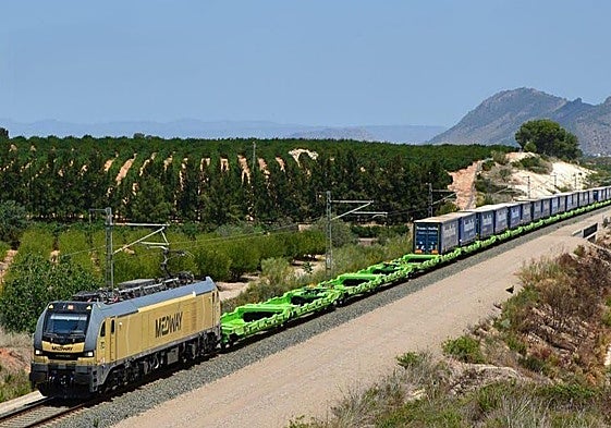 Un tren cargado con semirremolques de Trans Italia en un servicio de autopista ferroviaria.