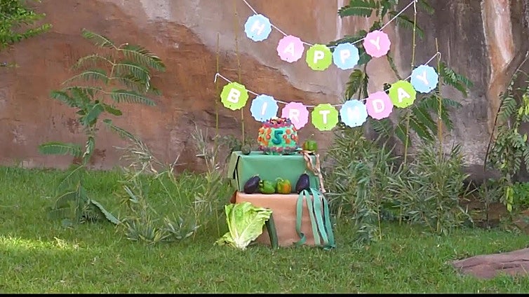 Ekan, el primer gorila andaluz, celebra su quinto cumpleaños con una entrañable fiesta