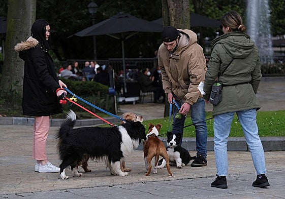 Dueños con sus perros en una imagen de archivo.