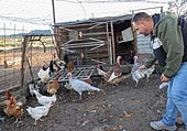 «Por muy pequeño que sea tu gallinero, hay que tomar conciencia contra la gripe aviar»