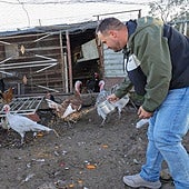 José Antonio Peña Morillo, en su gallinero.