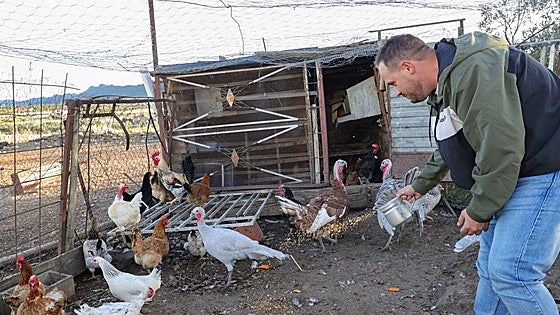 «Por muy pequeño que sea tu gallinero, hay que tomar conciencia contra la gripe aviar»