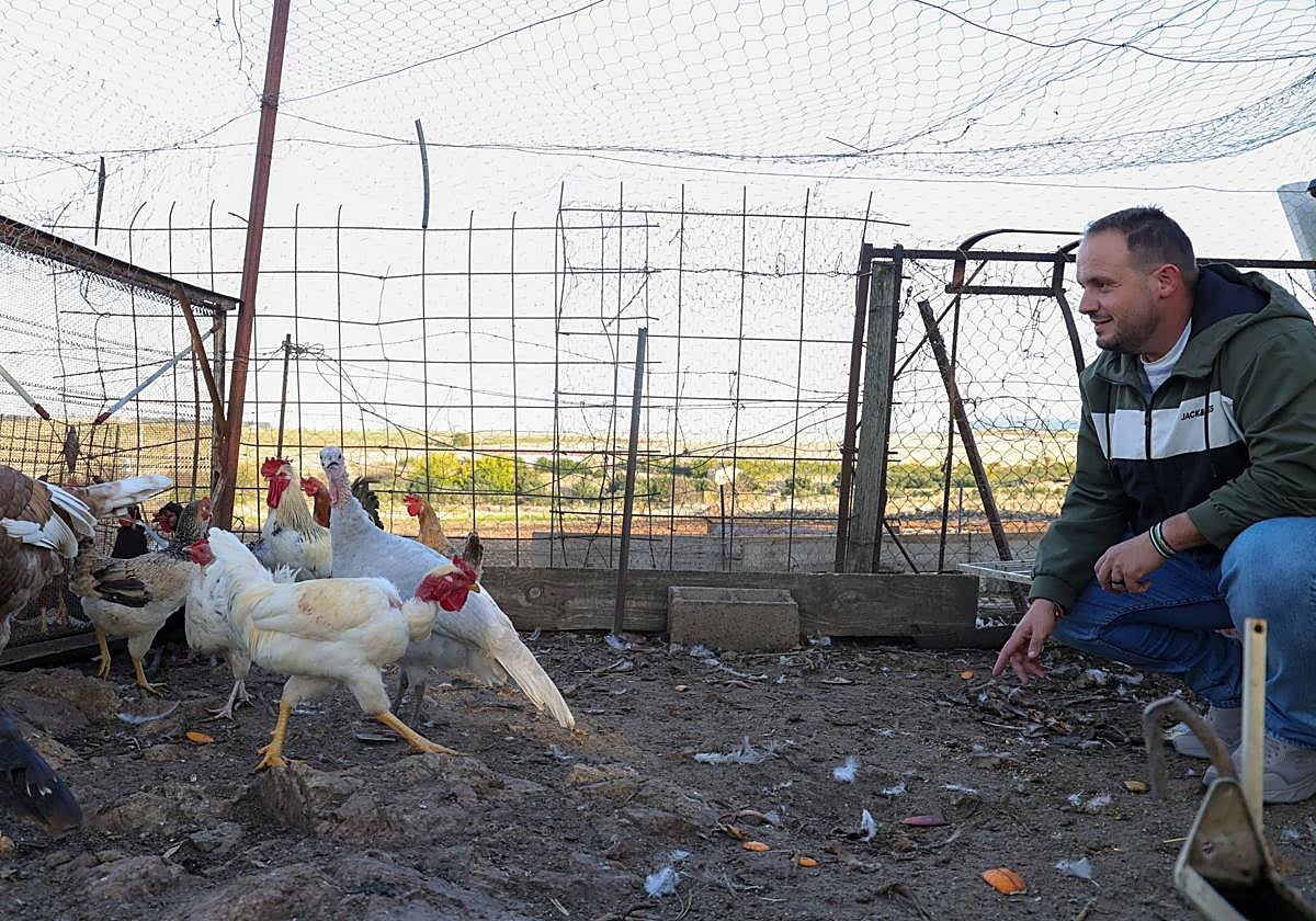 La Junta confirma ocho focos de gripe aviar en aves silvestres de Extremadura 
