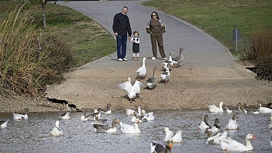 El alcalde de Badajoz pide no acercarse a los patos o gansos de los parques por la gripe aviar
