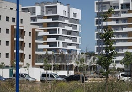 Construcción de pisos en la avenida de Elvas de Badajoz, donde también se levantarán bloques de viviendas protegidas.