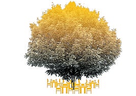 «En mi fin está mi principio»