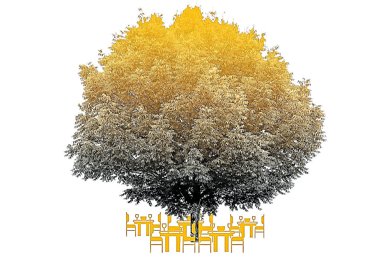 «En mi fin está mi principio»