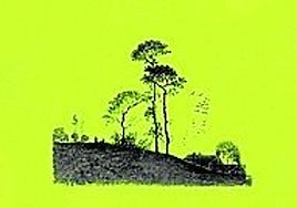 El amor en siete lecciones