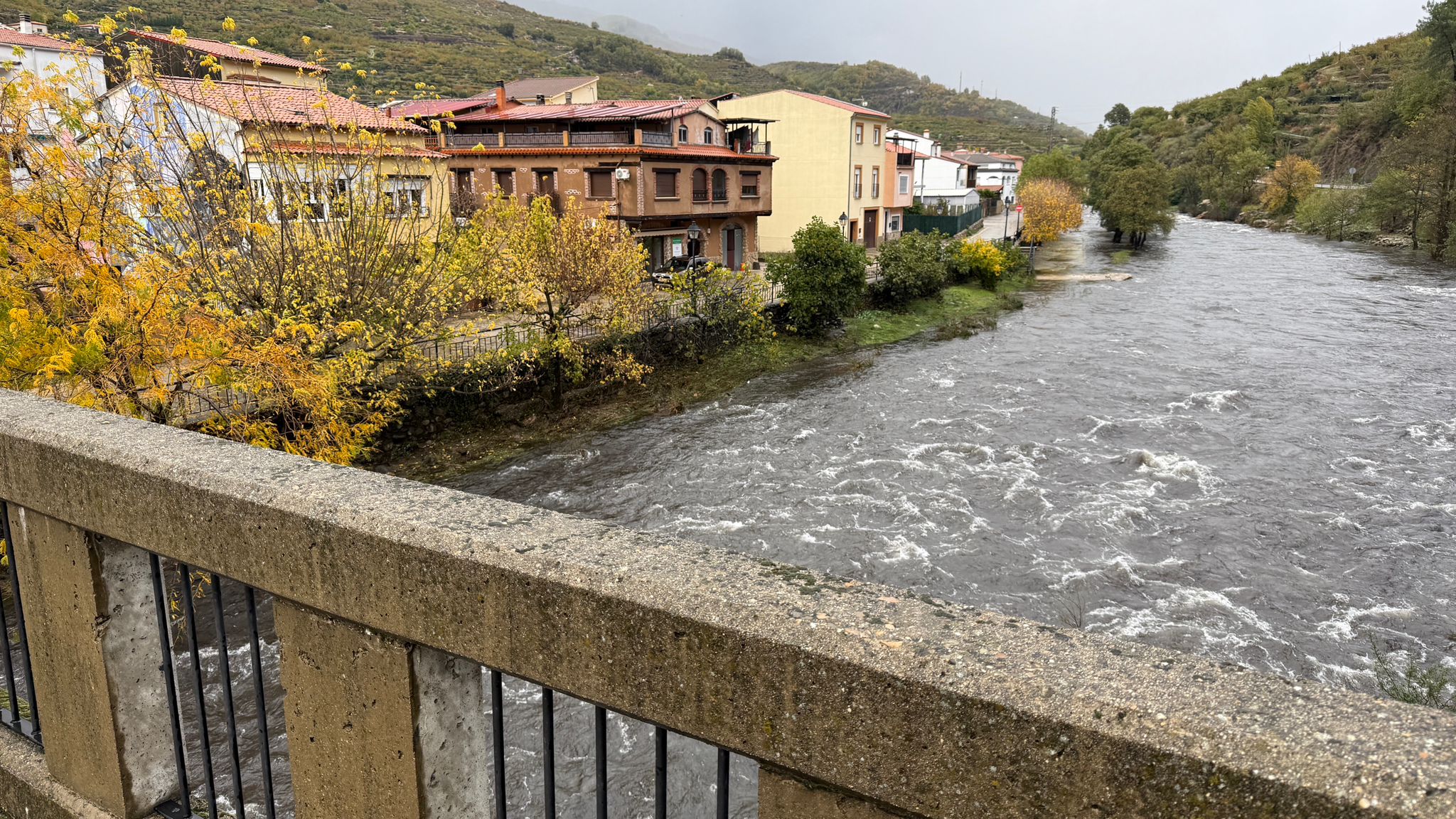 Fotos | Crecida del río Jerte a su paso por Navaconcejo