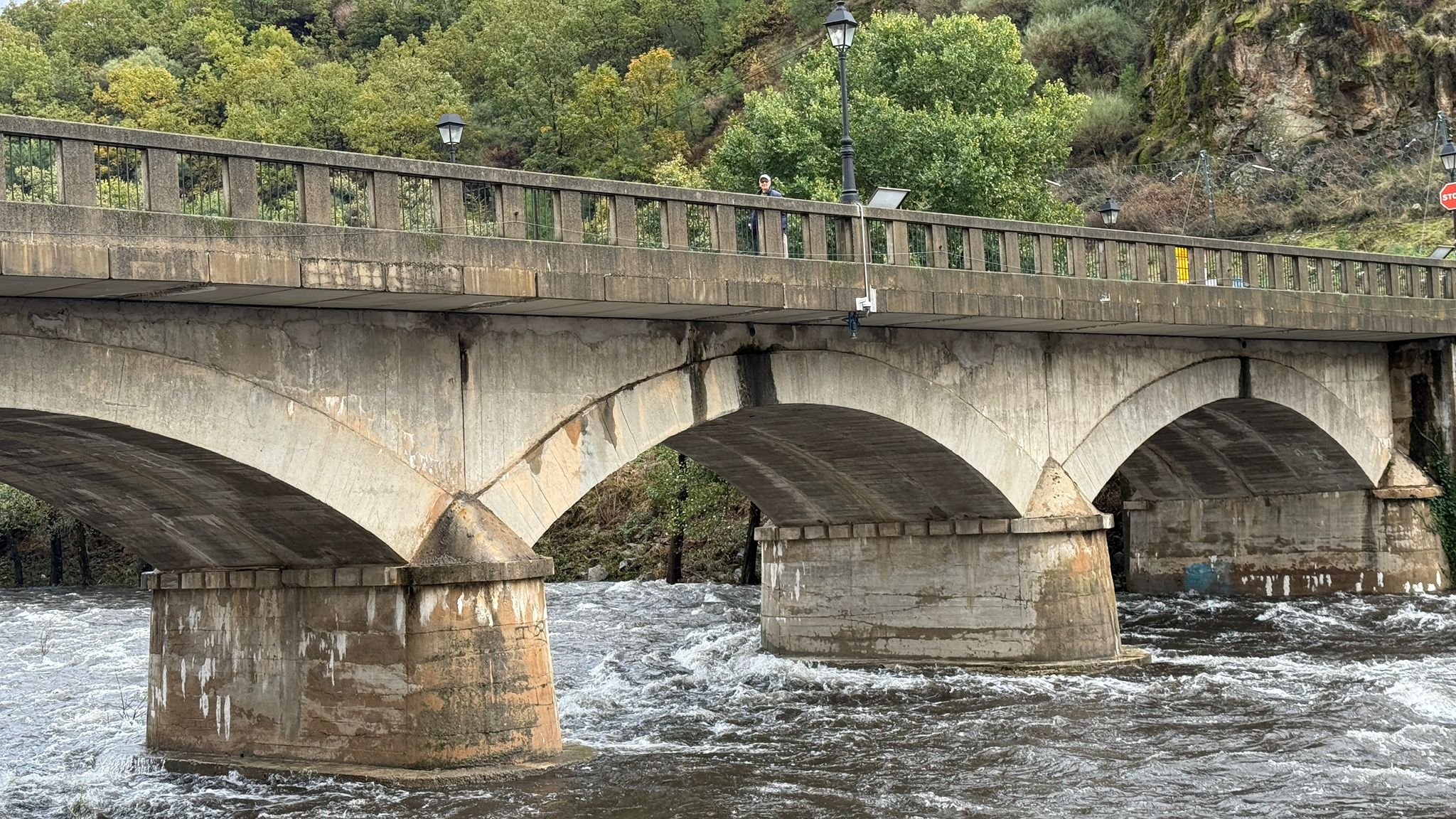Fotos | Crecida del río Jerte a su paso por Navaconcejo