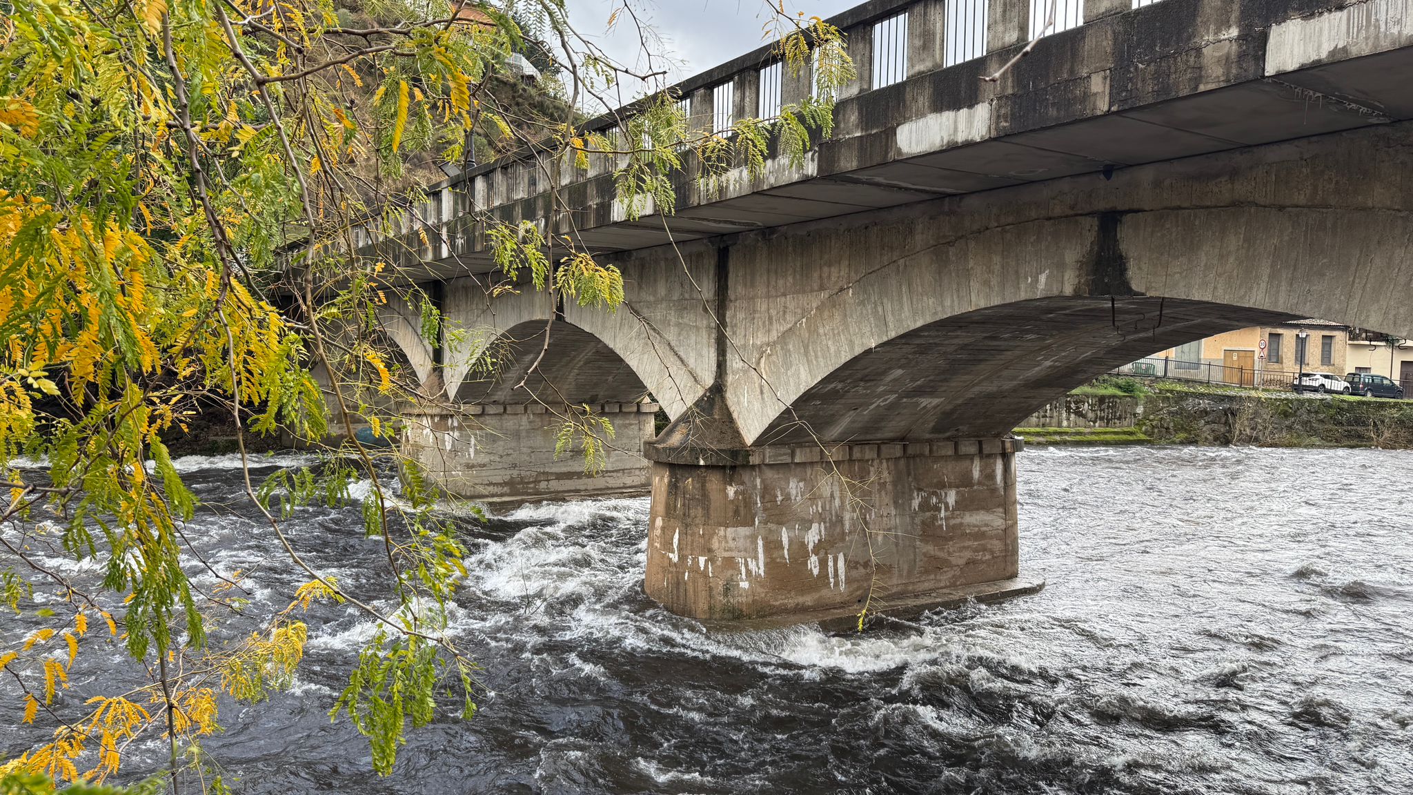 Fotos | Crecida del río Jerte a su paso por Navaconcejo
