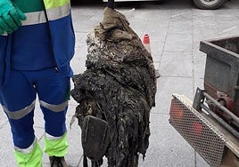 Atasco de toallitas, grasas, pelos en la red de saneamiento.