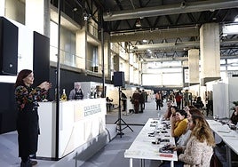 Una de las catas celebrada este viernes por la tarde en Ifeba.