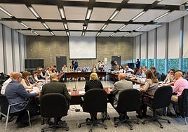 Imagen de la reunión de la Mesa General de Negociación celebrada esta semana.