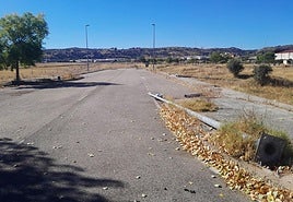 Una de la calle de la urbanización casi sin farolas