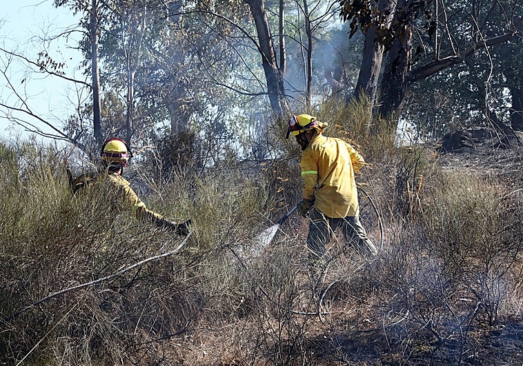 La Audiencia absuelve al acusado de originar un incendio forestal con una desbrozadora en Mirabel